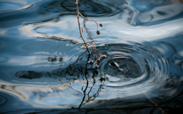 Bild av speglande vattenyta